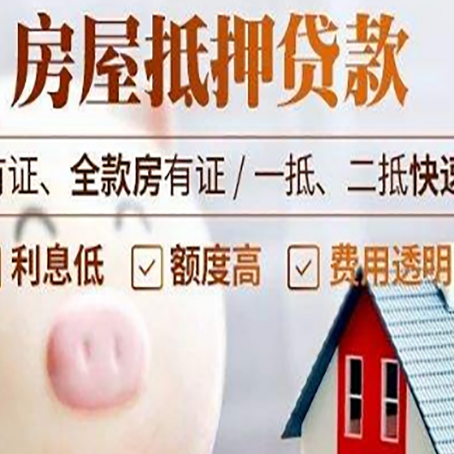 漳县贷款助贷公司新渝启服靠谱公司